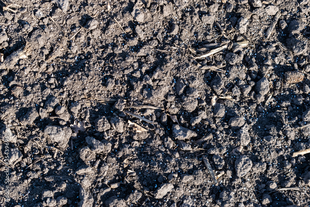 Soil with mineral fertilizer Soil with mineral fertilizer