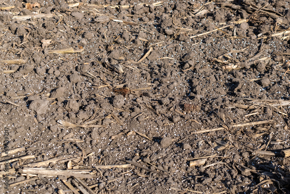 Soil with mineral fertilizer Soil with mineral fertilizer