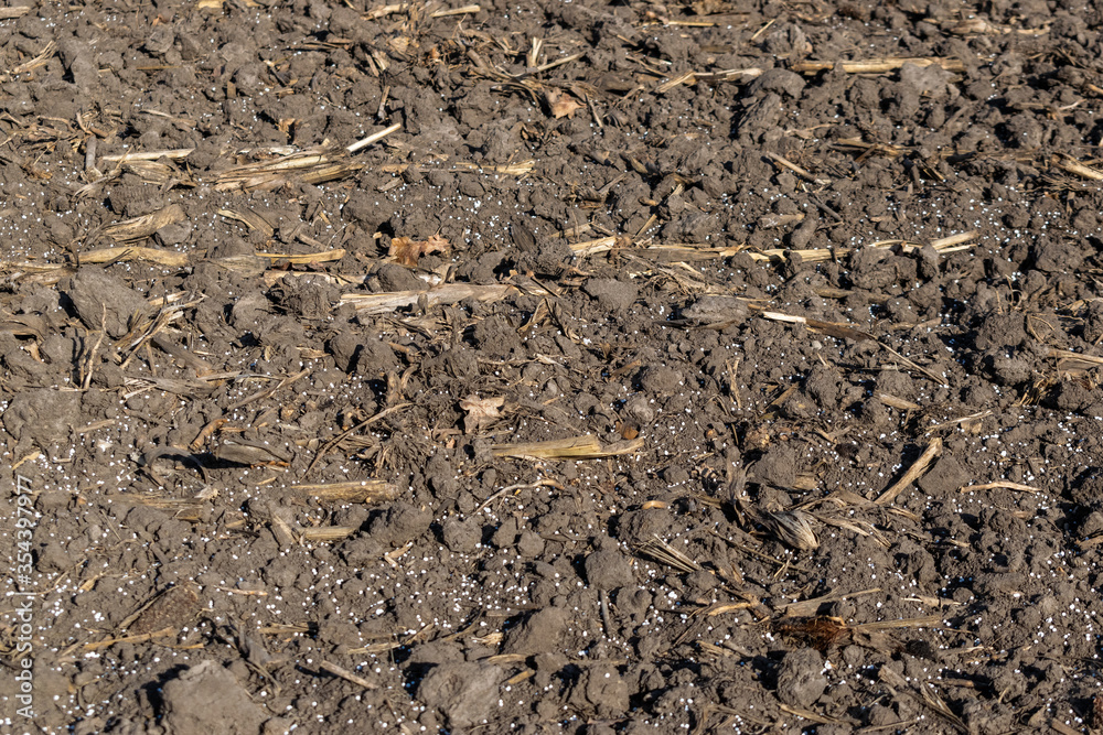 Soil with mineral fertilizer Soil with mineral fertilizer