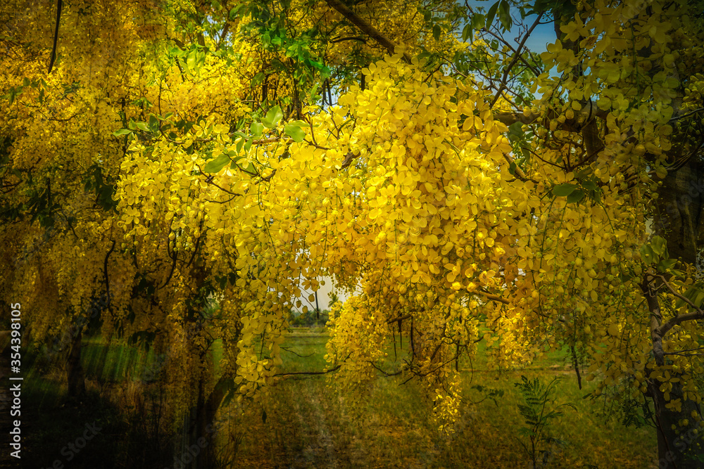 Yellow flowers and green leaves Yellow flowers and green leaves