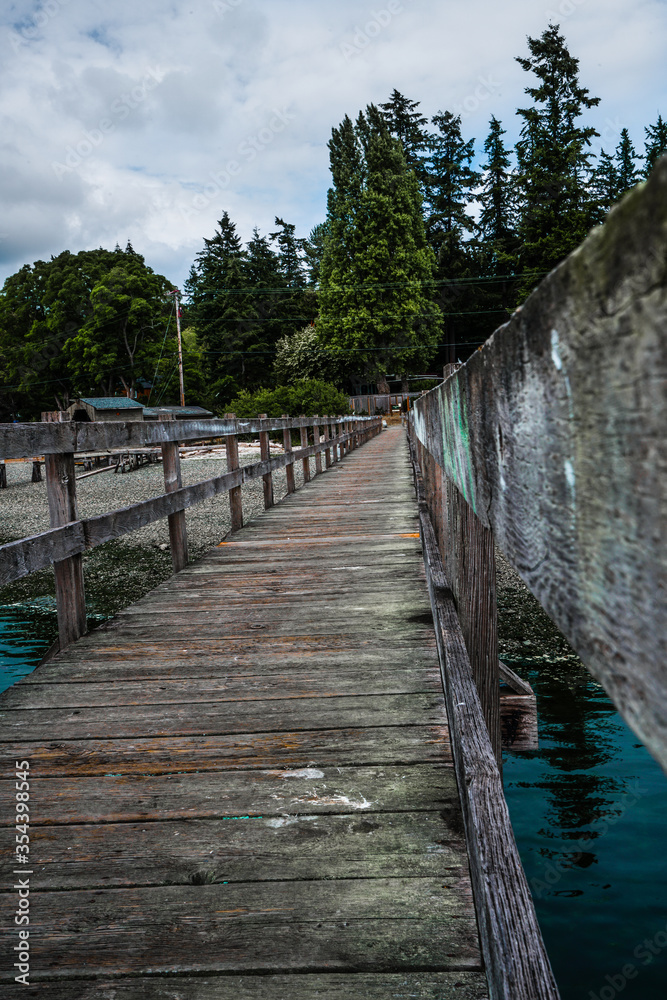 Obraz premium wooden bridge over the lake
