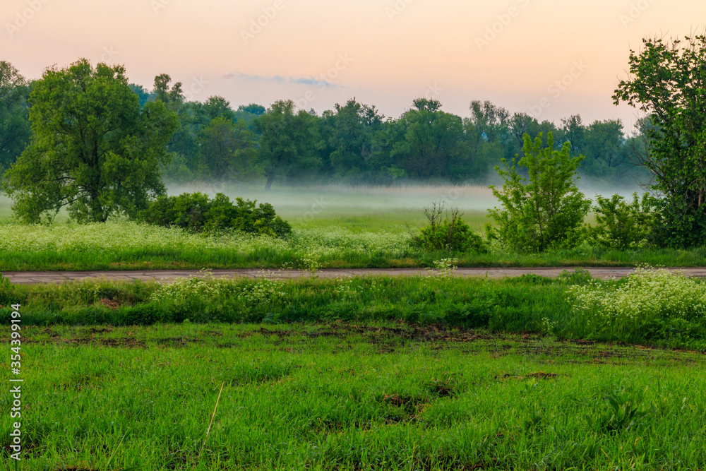 Summer landscape with green misty meadow, trees and sky. Fog on the grassland at morning