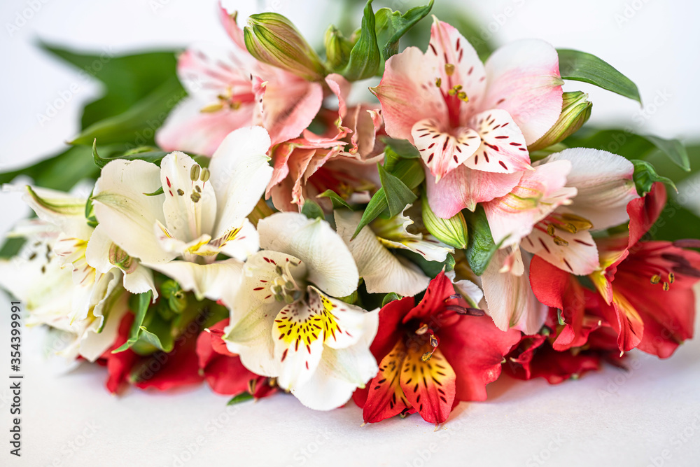 bouquet of red, white and pink Alstroemeria flowers on a light background close-up
