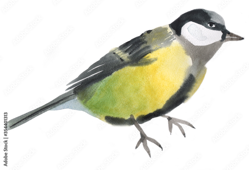 Naklejka premium Watercolor illustration of a bird tit