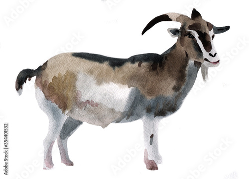 Watercolor illustration of a goat