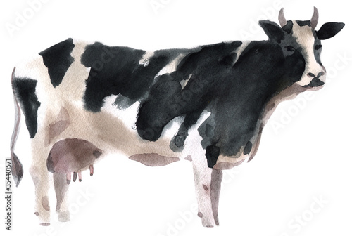 Watercolor illustration of a cow 