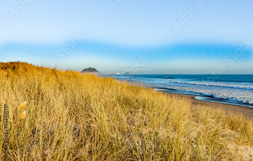 Golden beach grass sloping to water's edhe with landmak Mount Maunganui and cruise ship in distance photo