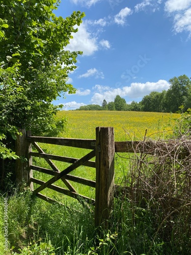 Gate into field with blue sky