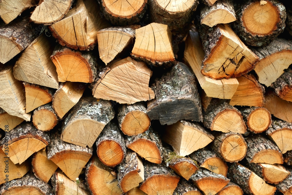 Stack of logs in the countryside. Selective focus. Stack of logs in the countryside. Selective focus.