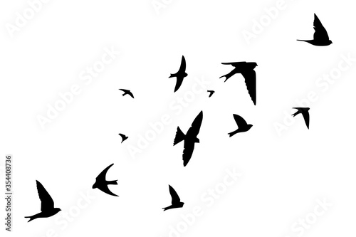The silhouette of flying swallows. Vector illustration © Мария Неноглядова