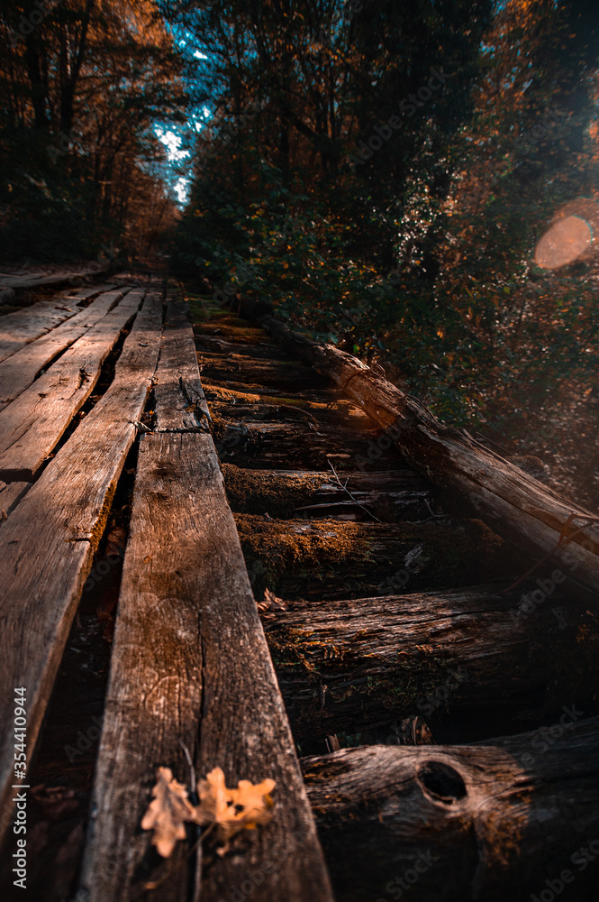 Naklejka premium A train on a train track with trees in the background