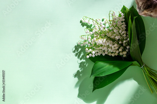 Cat sniffing bouquet lily of the valley flowers with shadows and copy space