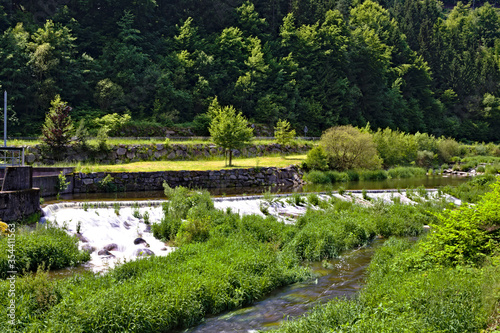 pond in the park