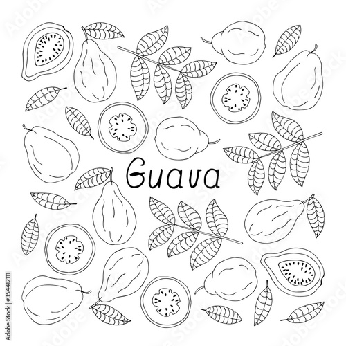 Guava lettering. Hand drawn poster. Stock vector illustration.