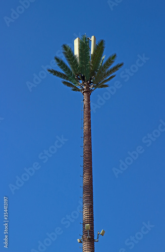 Telecommunication tower for of mobile telephony, wireless computer networking and other wireless communications or Base radio station disguise as a Date palm tree in Morocco