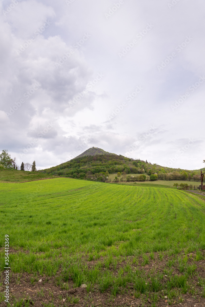 Green mixed forest on Milesovka, highest mountain of Ceske stredohori with lookout tower and meteorological station and observatory, Czech Republic