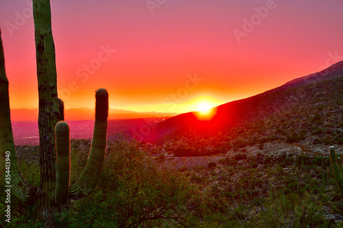 Arizona sunset with iconic saguaro cactus