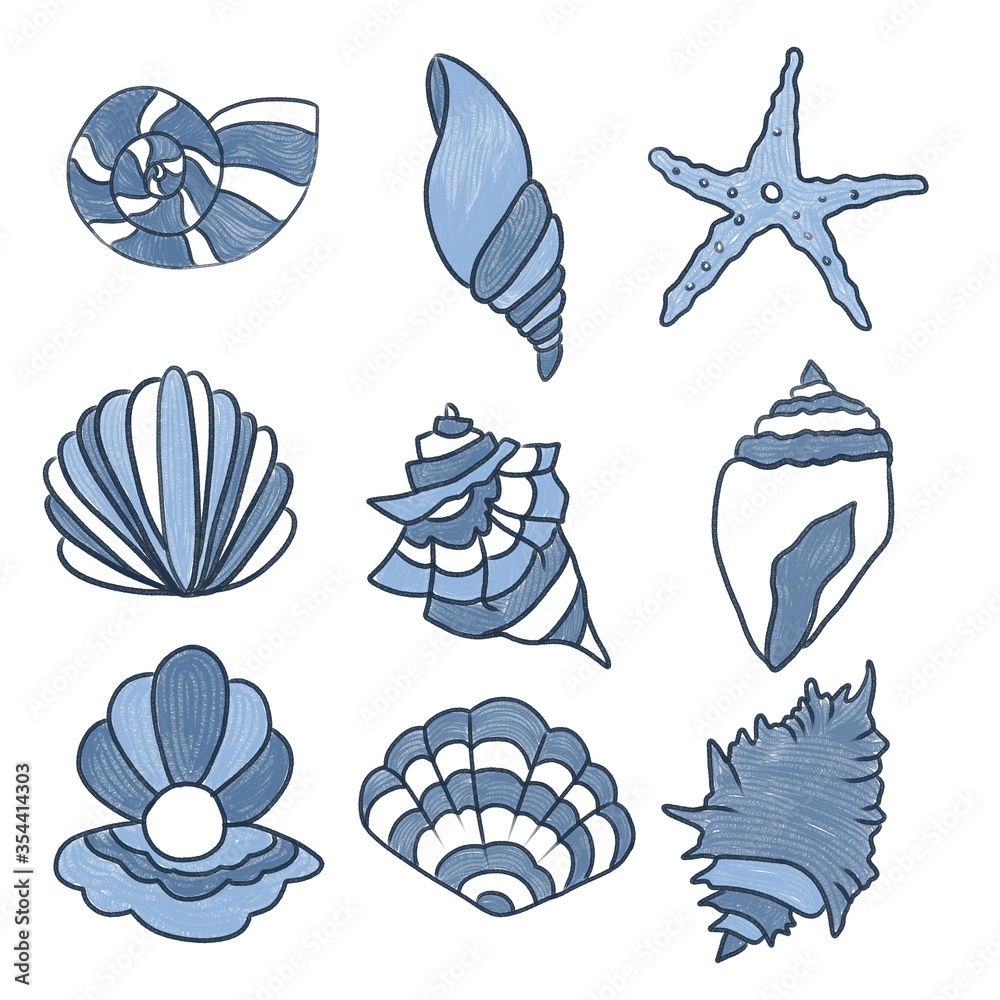 marine: blue shells on a white background