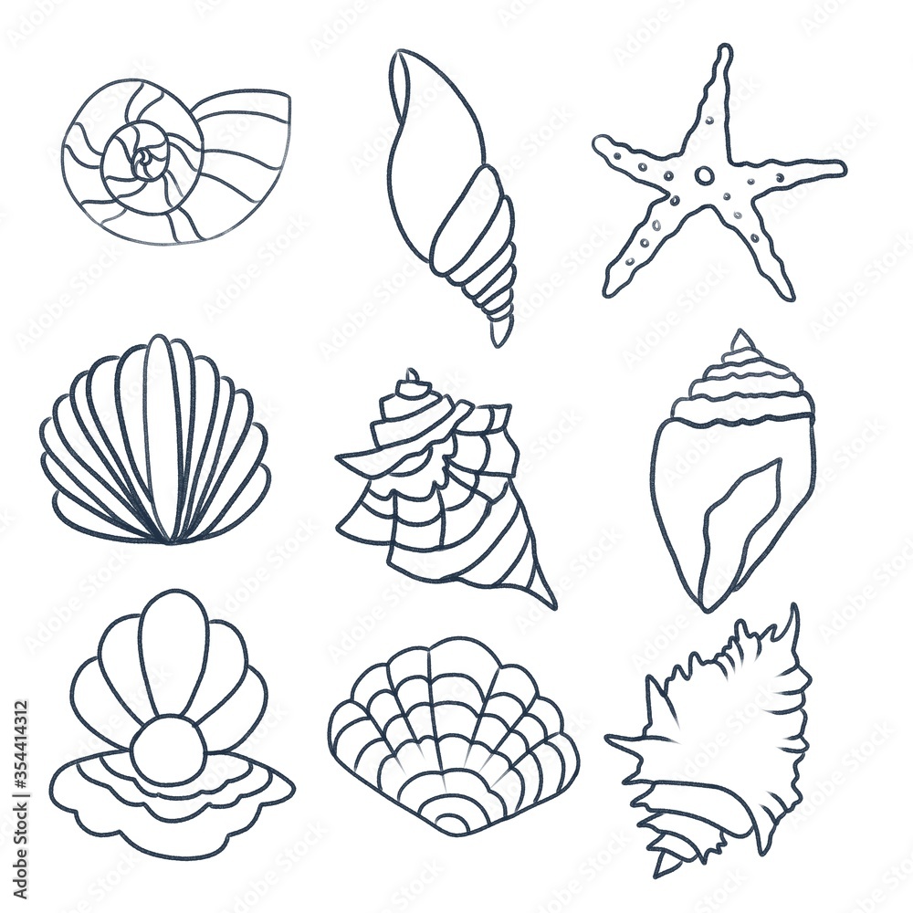 marine: white with blue contour shells on a white background marine: white with blue contour shells on a white background