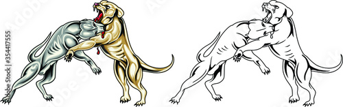 Two fighting dog pit bull in a fight. Deadly battle. Vector illustration of a angry dog
