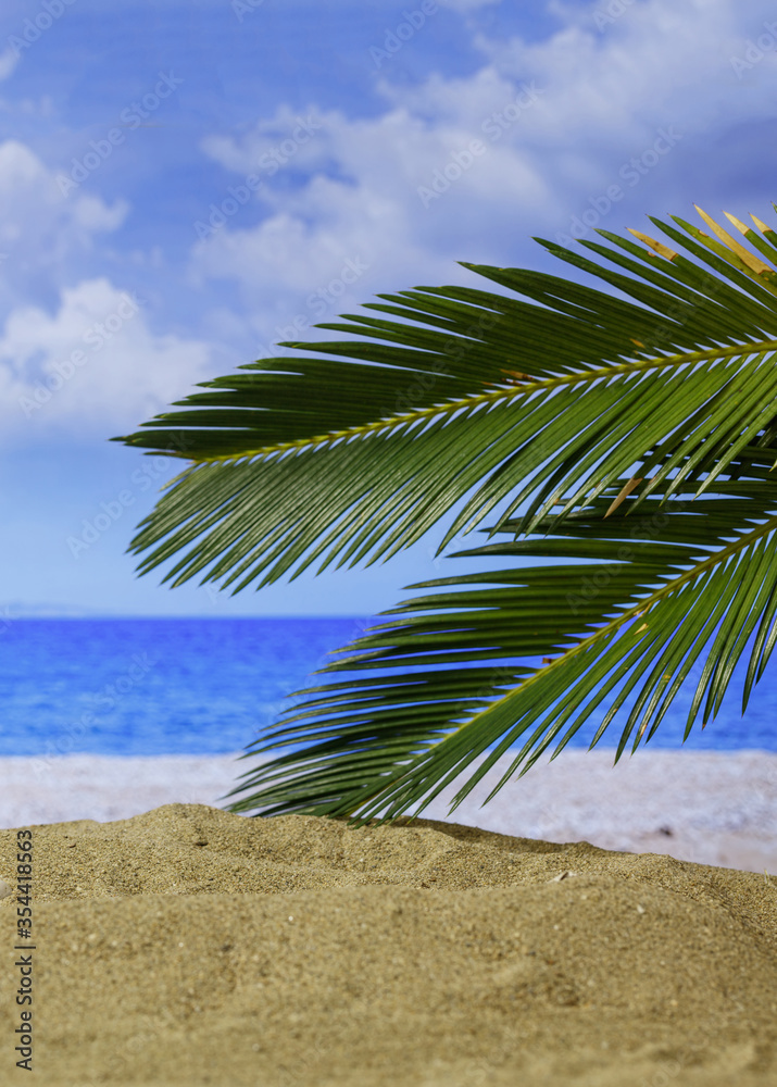 Summer holidays concept. Sandy beach with palm tree, sun, blur sea background