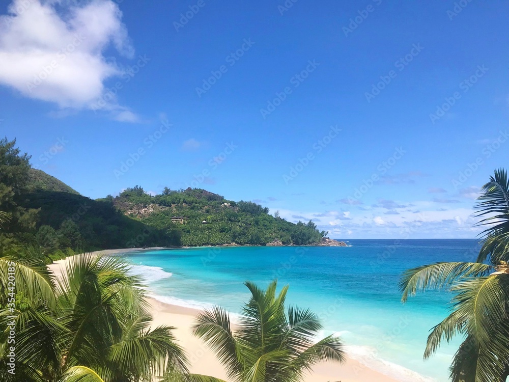 Tropical beach with palm trees and turquoise water in a secluded cove Tropical beach with palm trees and turquoise water in a secluded cove
