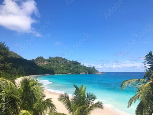 Tropical beach with palm trees and turquoise water in a secluded cove