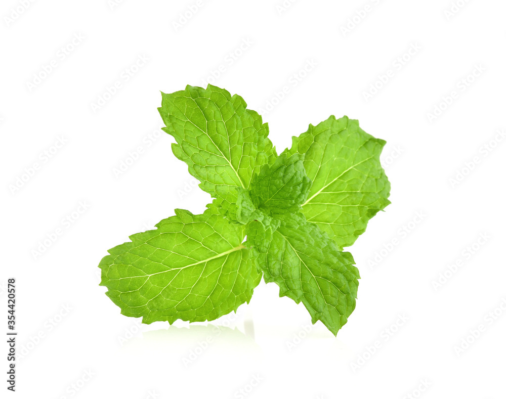 Mint leaves isolated on white background. Mint leaves isolated on white background.