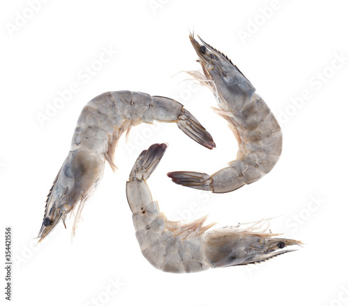 fresh shrimp prawn on white background