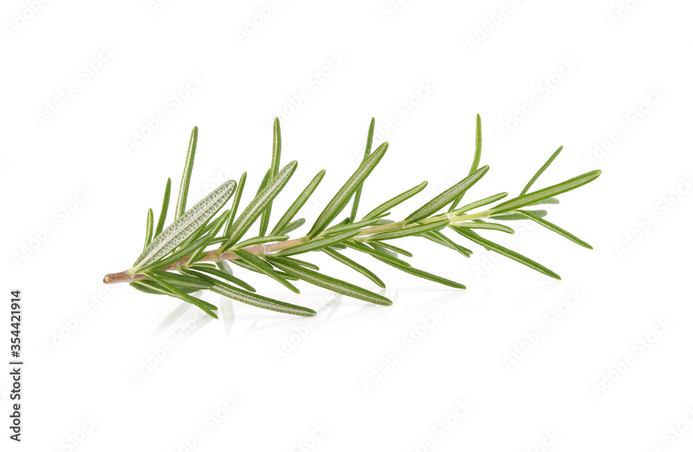 Fototapeta premium Rosemary isolated on white background
