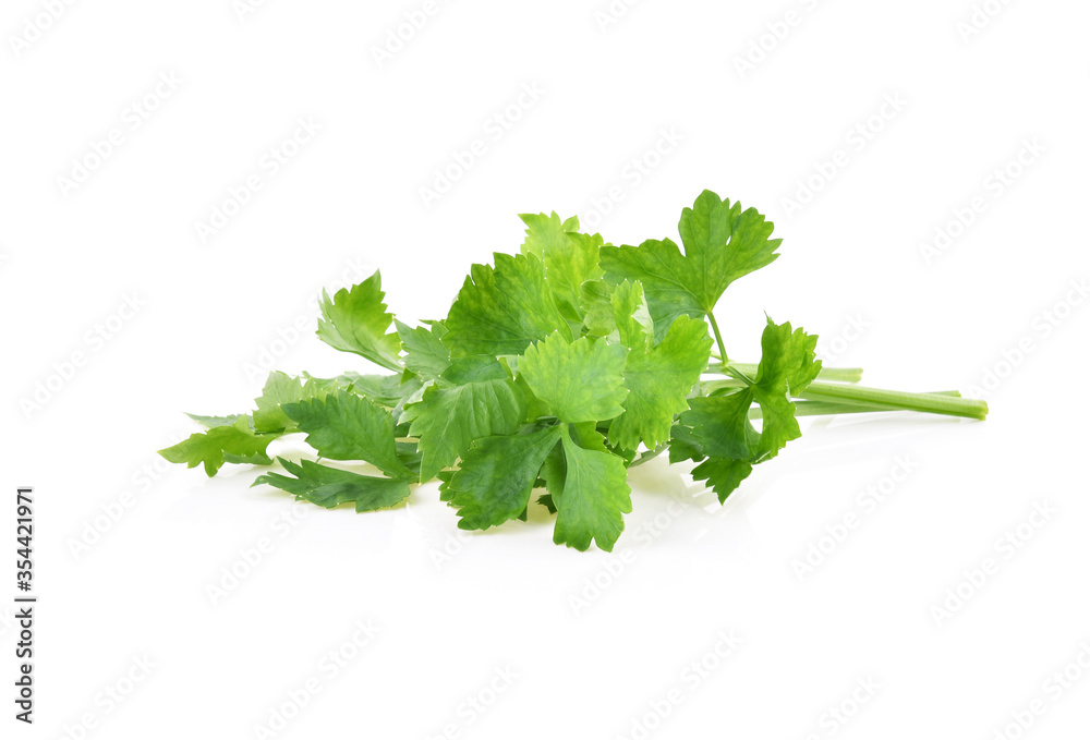 Celery isolated on white background Celery isolated on white background