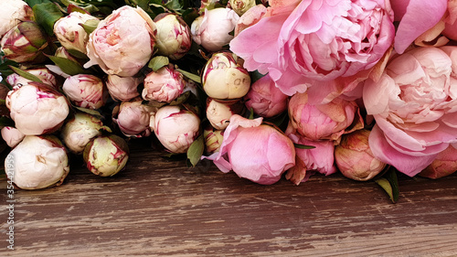 Fototapeta Naklejka Na Ścianę i Meble -  Pink peony petals floral rose flowers