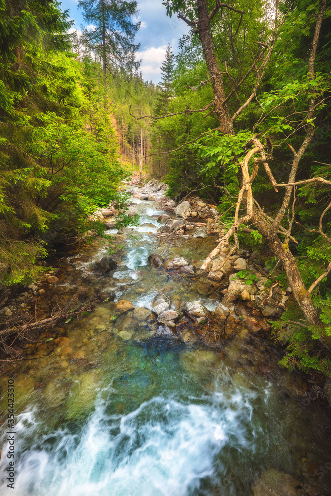 Beautiful nature with water flowing thourgh rocks near Zelene pleso (Green Lake) in High Tatras, Slovakia. Beautiful nature with water flowing thourgh rocks near Zelene pleso (Green Lake) in High Tatras, Slovakia.