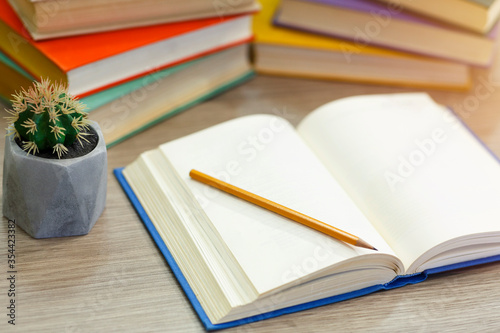 Close up of open book with pen and cactus