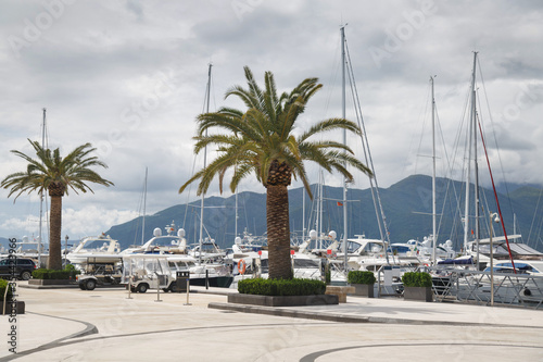 View of the embankment of the city of Tivat, Montenegro.