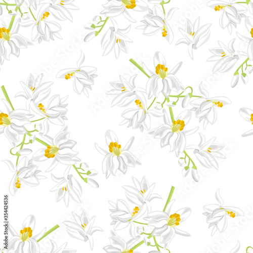 Moringa white flowers seamless pattern. Blooming branch of plant Moringa oleifera isolated on white. Vector illustration in cartoon flat style. Floral background.