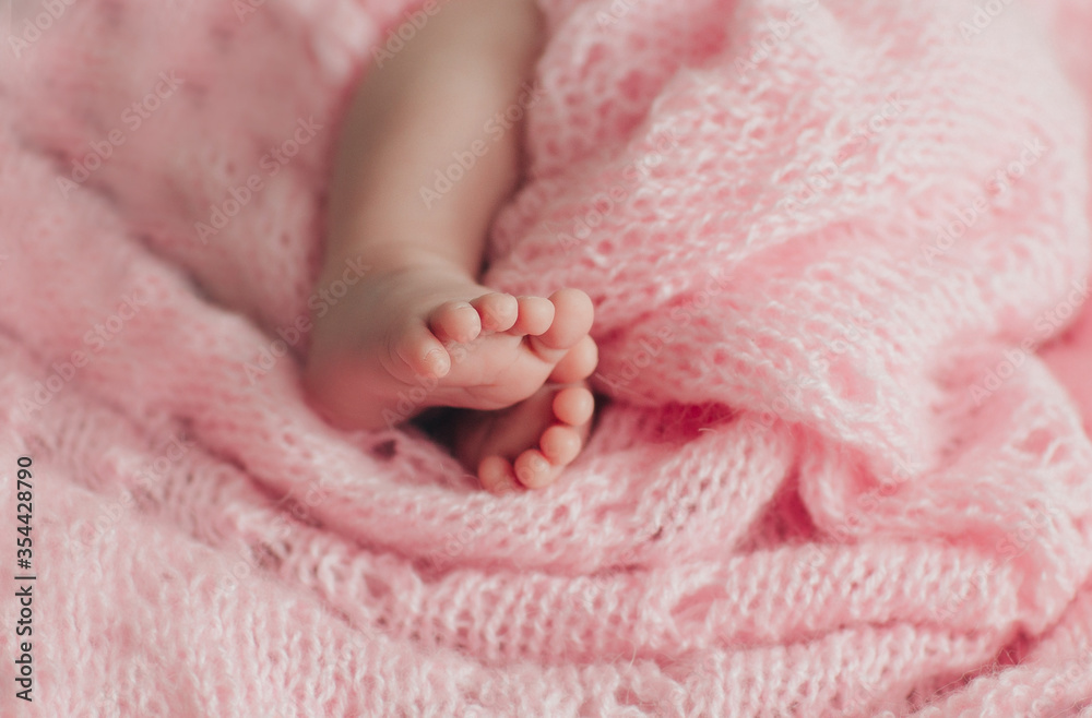 Cute little baby feet in pink blanket Cute little baby feet in pink blanket