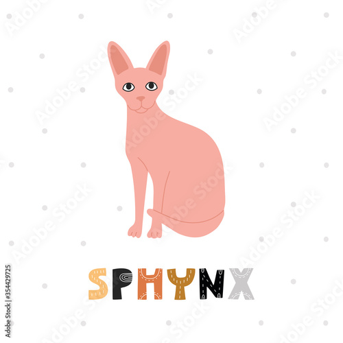 Sphinx, hairless cute cat, with hand drawing lettering, white background isolated. Vector illustration, poster template. 