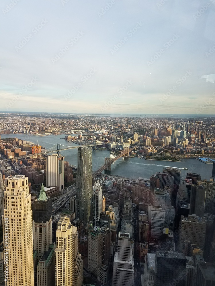 Bird view of New York City