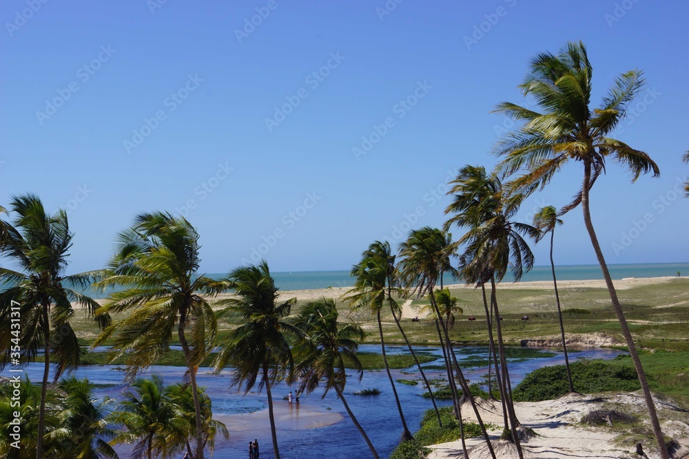 palm trees on the beach Punau RN Brazil