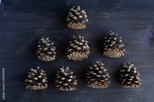 pine cones on a dark background