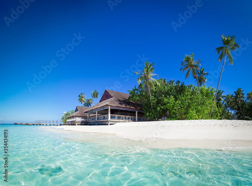 Fototapeta Naklejka Na Ścianę i Meble -  Stingray on the Maldives. Tropical island in the turquoise lagoon. Maldives island
