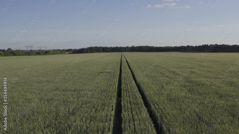 Wind weht über ein Feld. Vogelperspektive. 
