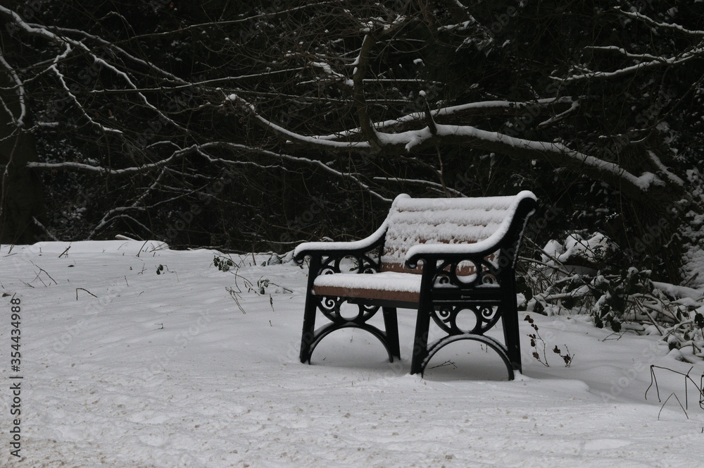 Sitting Bench in the Snow