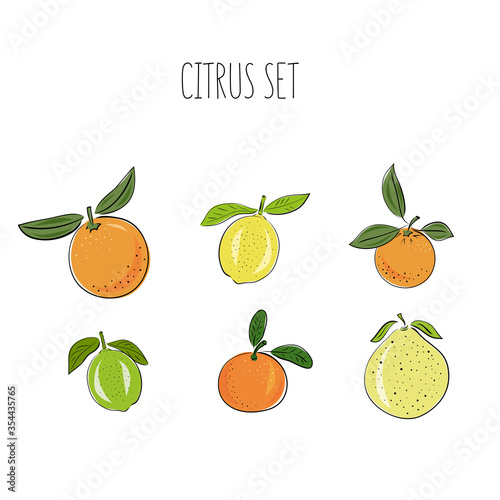 Set of hand drawn vector citrus, lemon, orange, lime, pomelo, tangerine and grapefruit fruits on light background. Sketch illustrashion.