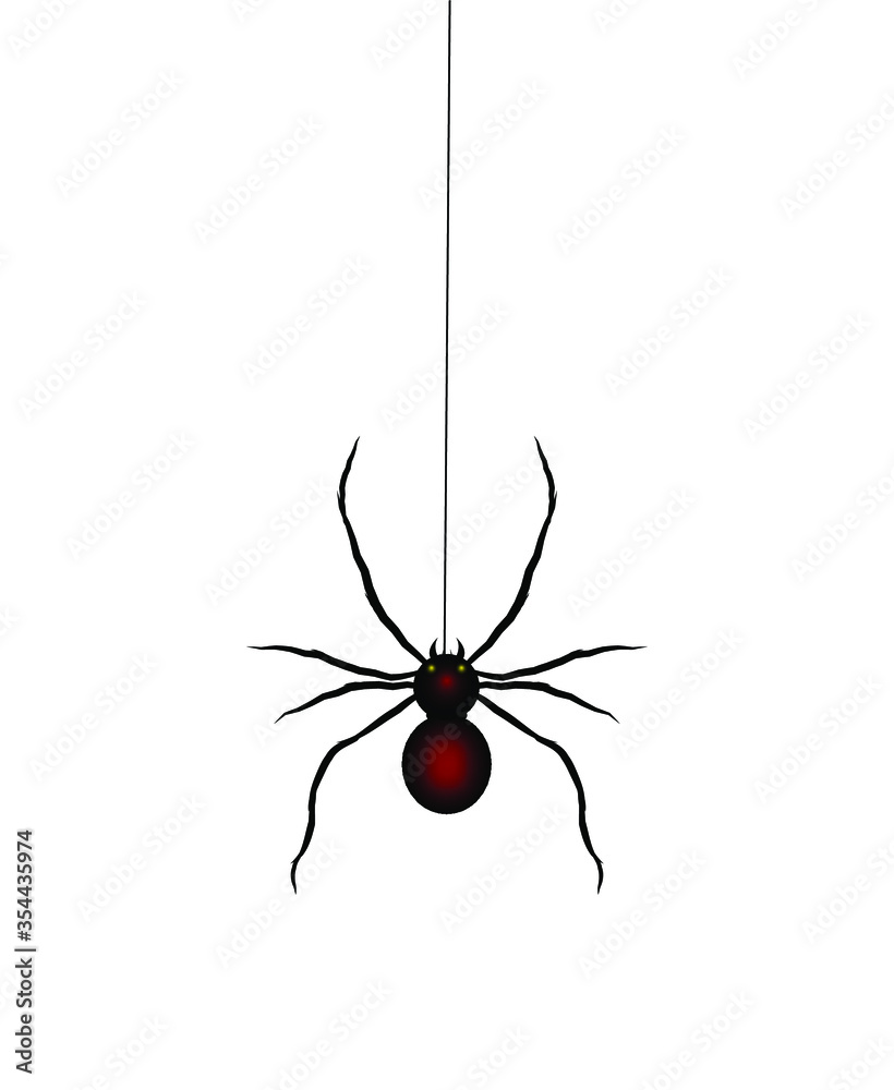 The spider crawls up the web. Spider icon for web and app. Black Widow spider. Stock vector illustration on white isolated background. The spider crawls up the web. Spider icon for web and app. Black Widow spider. Stock vector illustration on white isolated background.