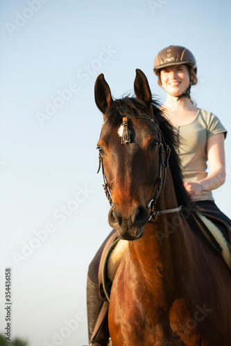 Pferdeportrait mit Reiterin
