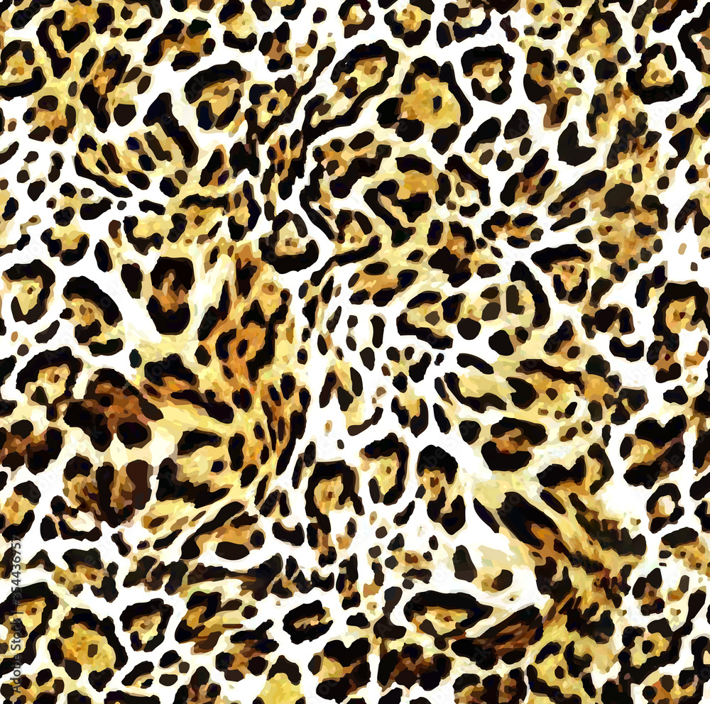 leopard skin texture leopard skin texture