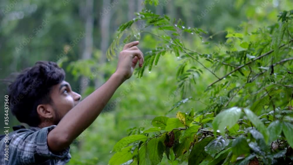 young man tourist in forest enjoying with water drops in leaves young man tourist in forest enjoying with water drops in leaves