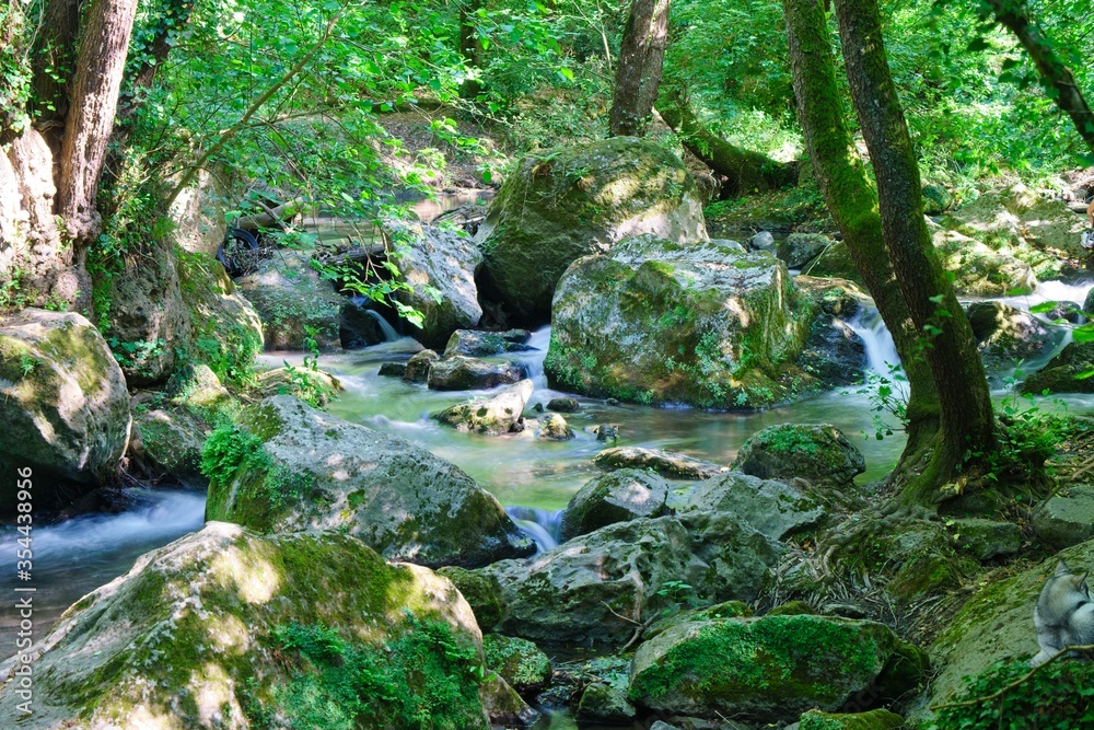 Creek at Valle del Treja regional park